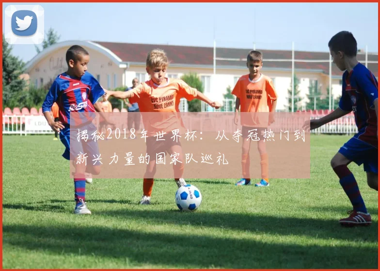 揭秘2018年世界杯：从夺冠热门到新兴力量的国家队巡礼