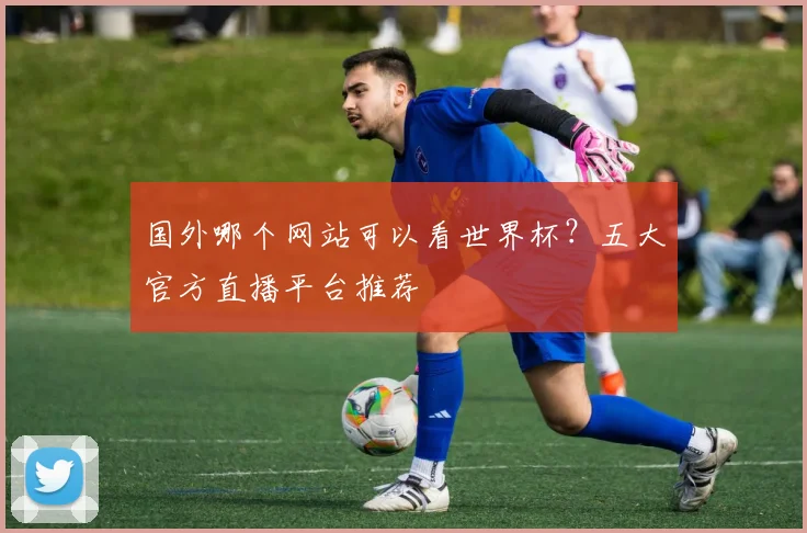 国外哪个网站可以看世界杯?五大官方直播平台推荐