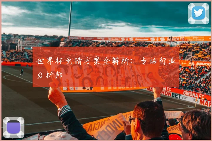 世界杯竞猜方案全解析：专访行业分析师