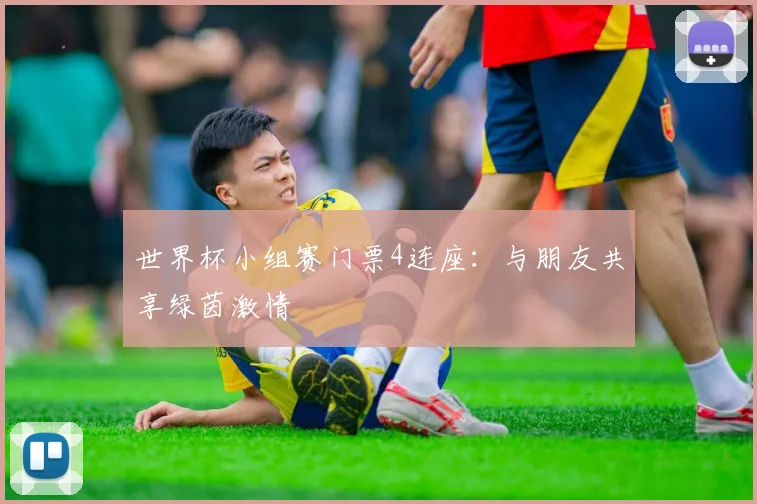 世界杯小组赛门票4连座：与朋友共享绿茵激情