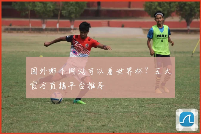 国外哪个网站可以看世界杯?五大官方直播平台推荐