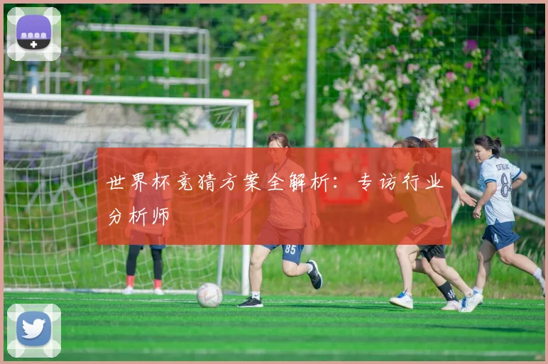 世界杯竞猜方案全解析：专访行业分析师
