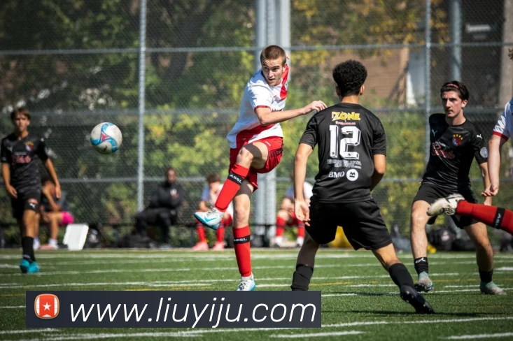 意昂体育官网登录发展历程